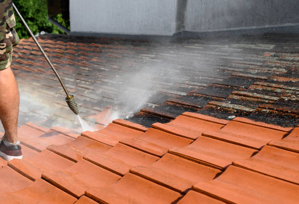 Best Pressure Washing Company Near Me  in Harbison Nyon, CA