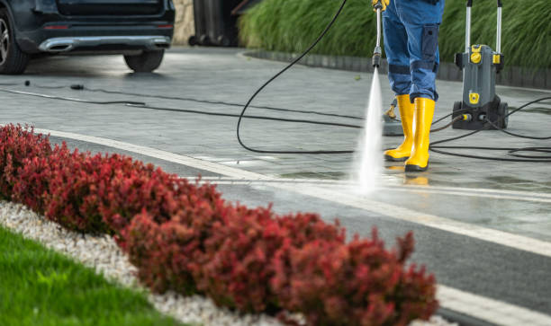 Best Roof Power Washing Services  in Harbison Nyon, CA